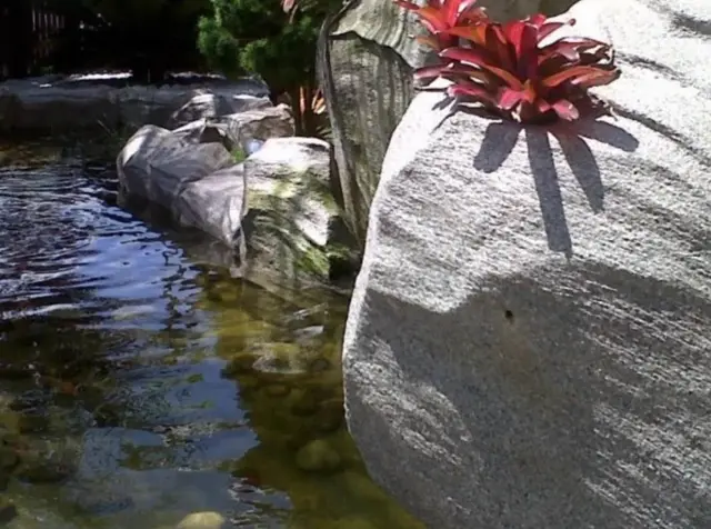 Lago ornamental com pedras artificiais e bromélia