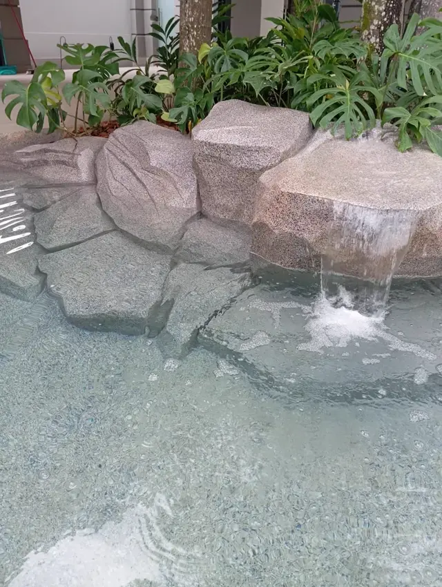 Piscina natural integrada à área de lazer com pergolado